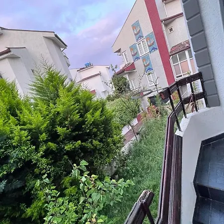 Bursa *